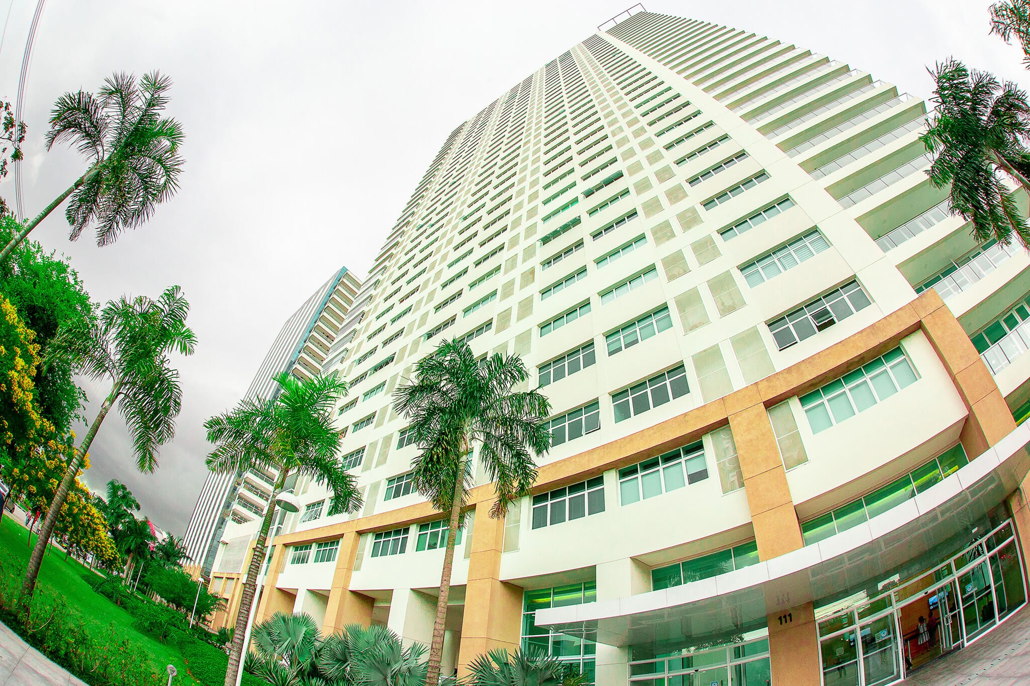 Viiwork | São Bernardo